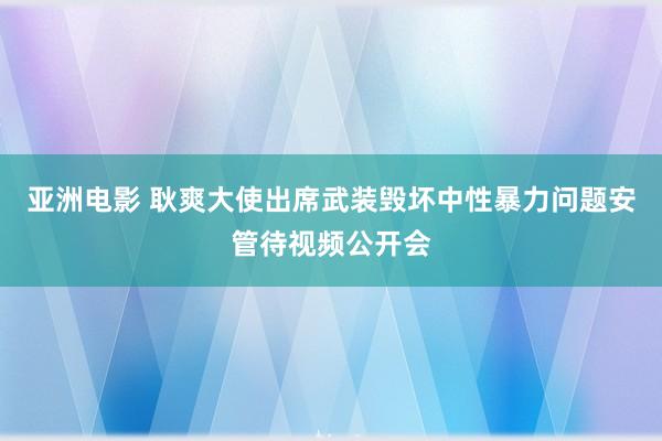 亚洲电影 耿爽大使出席武装毁坏中性暴力问题安管待视频公开会
