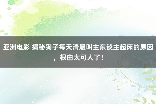 亚洲电影 揭秘狗子每天清晨叫主东谈主起床的原因，根由太可人了！