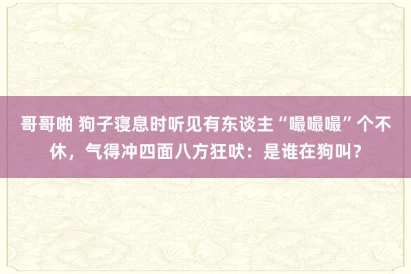 哥哥啪 狗子寝息时听见有东谈主“嘬嘬嘬”个不休，气得冲四面八方狂吠：是谁在狗叫？