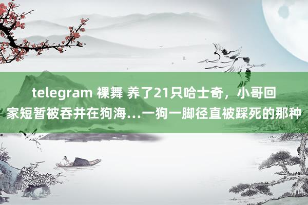 telegram 裸舞 养了21只哈士奇，小哥回家短暂被吞并在狗海…一狗一脚径直被踩死的那种