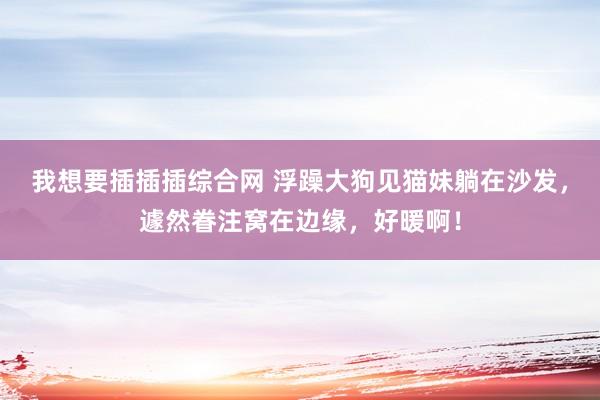 我想要插插插综合网 浮躁大狗见猫妹躺在沙发，遽然眷注窝在边缘，好暖啊！