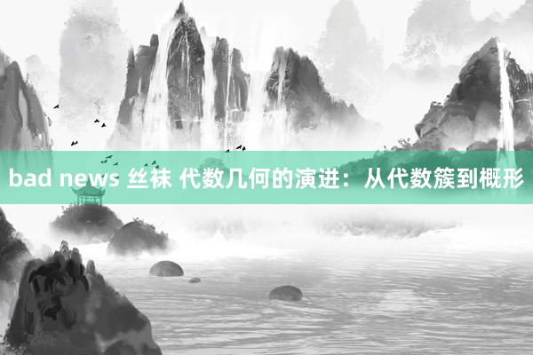 bad news 丝袜 代数几何的演进：从代数簇到概形