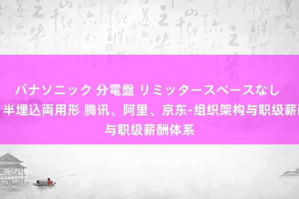 パナソニック 分電盤 リミッタースペースなし 露出・半埋込両用形 腾讯、阿里、京东-组织架构与职级薪酬体系