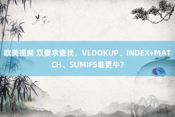 欧美视频 双要求查找，VLOOKUP、INDEX+MATCH、SUMIFS谁更牛？