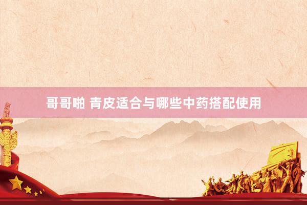 哥哥啪 青皮适合与哪些中药搭配使用