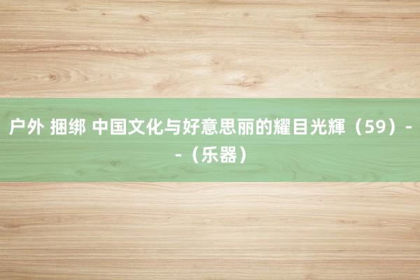 户外 捆绑 中国文化与好意思丽的耀目光輝（59）--（乐器）